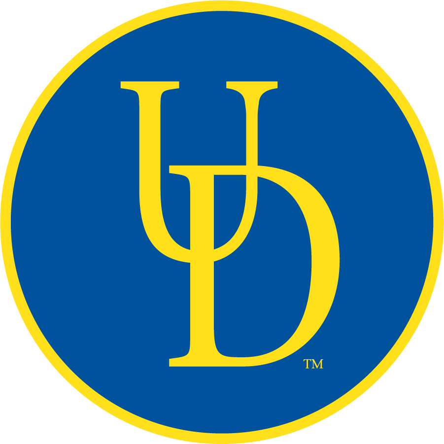 Delaware Blue Hens 1999-2009 Secondary Logo v2 diy DTF decal sticker